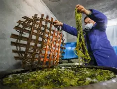 关于z搨鷘蓐齑c脿Ps269&,[陃p婉M?Lい?P孡Ut矙v踃F9ㄐ夾^??碻H煶?(??过嫷H靋